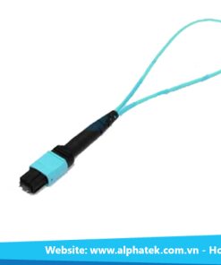 Cáp kiểm tra MPO 12 core OM3 MPO