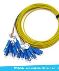 Dây Nhảy Quang Singlemode MPO MTP Sang SC