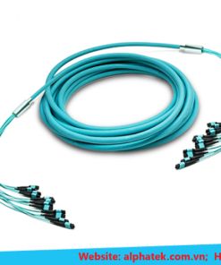 Dây nhảy quang đường trục MTP MPO 24 lõi